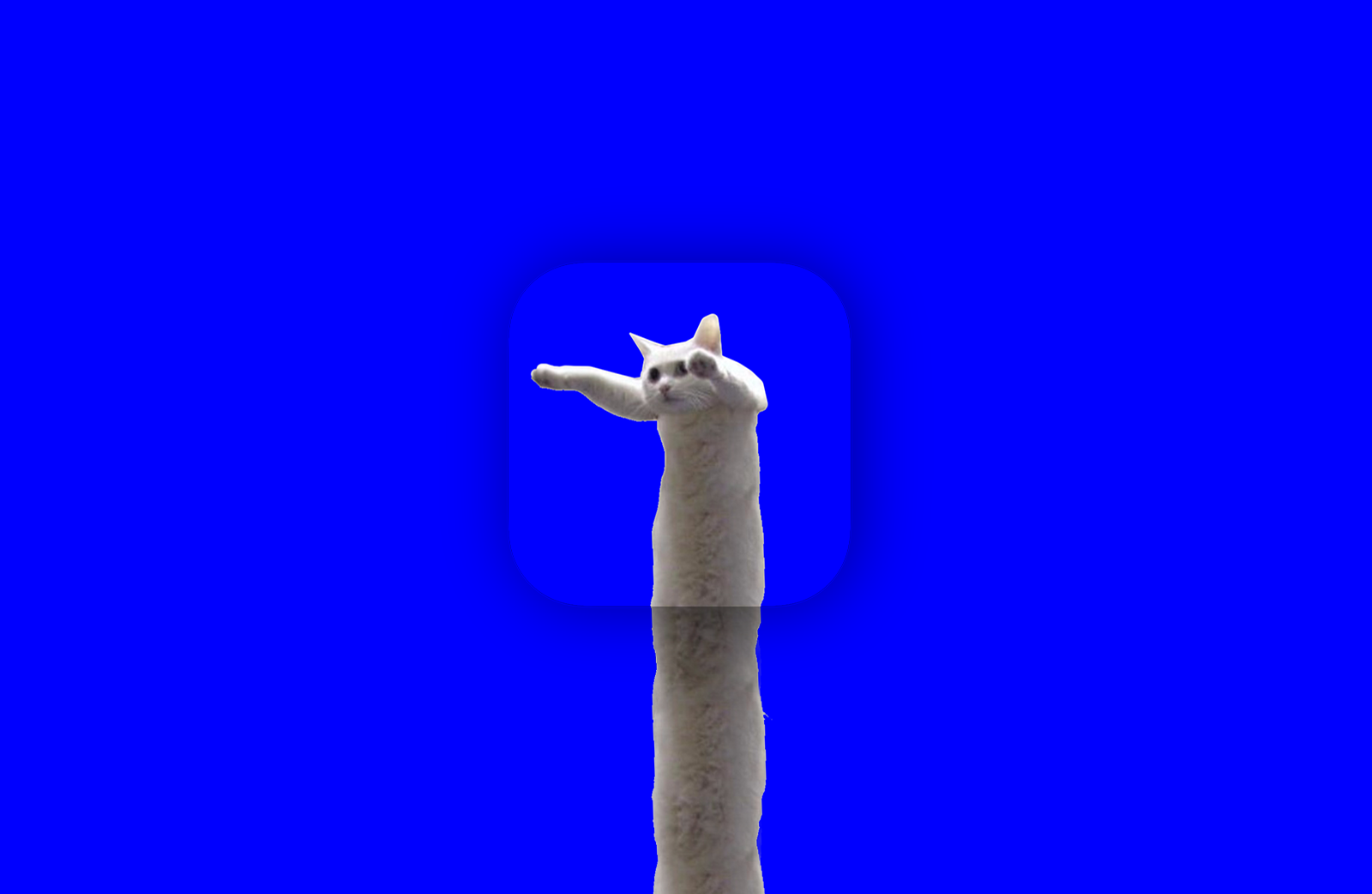 longARcat App gallery image