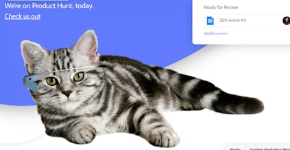 Ripley gallery image