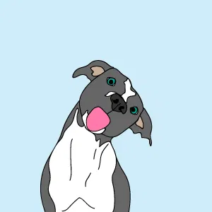 When Is My Dogs Birthday?