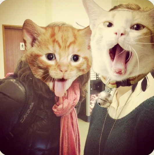 CatPaint