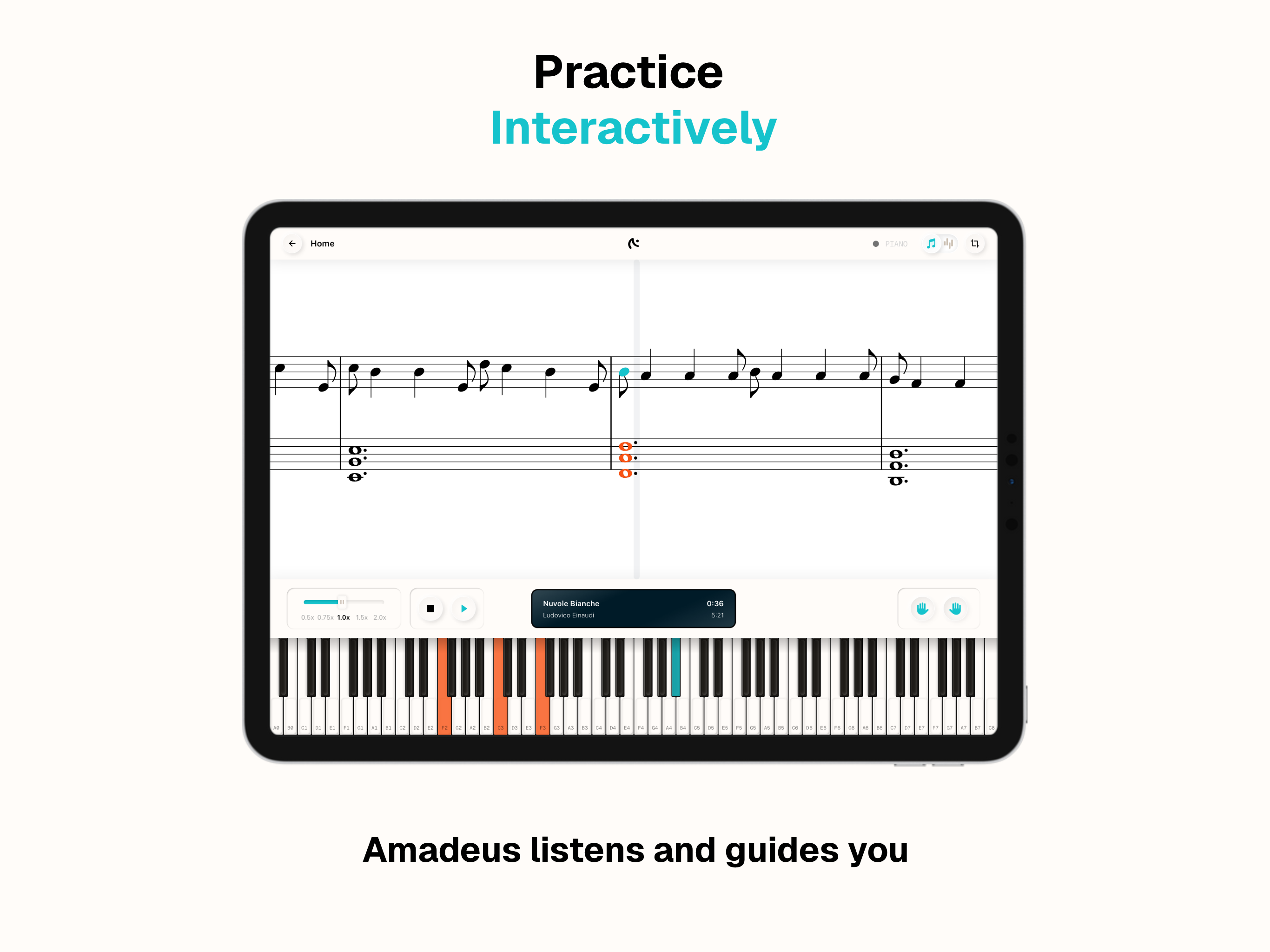 Amadeus gallery image