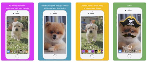 Speaking Puppy gallery image