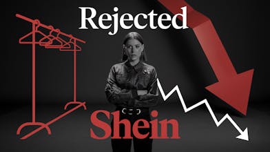 TubeAI gallery image