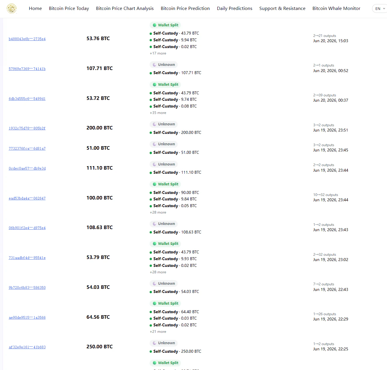 OursCrypto Whale Monitor 截图 3
