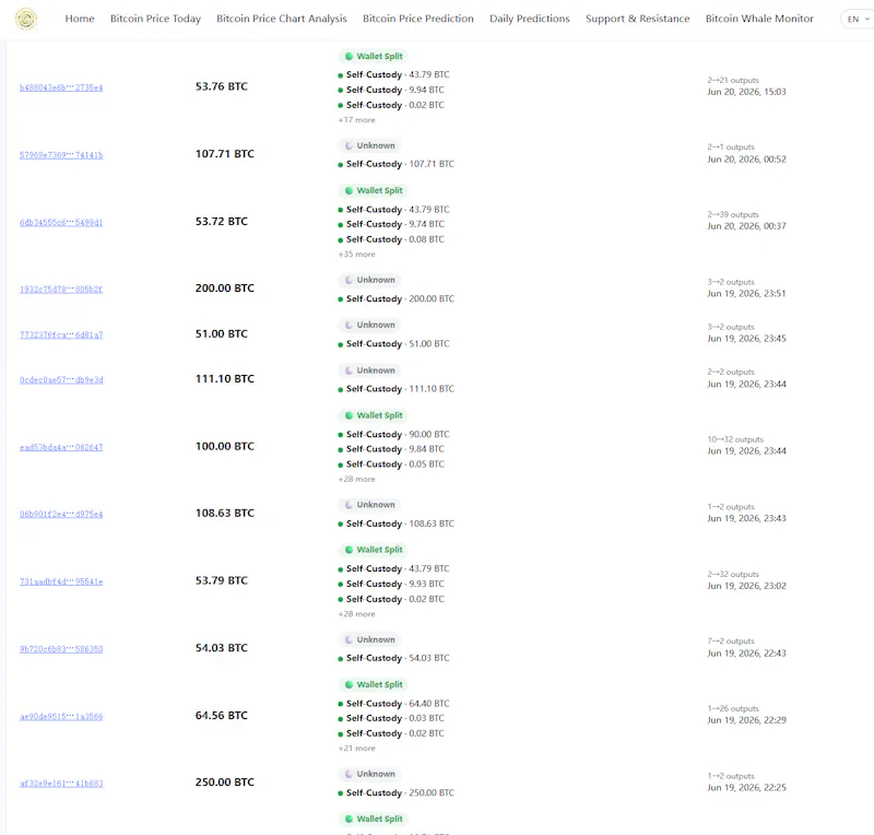 OursCrypto Whale Monitor screenshot 3