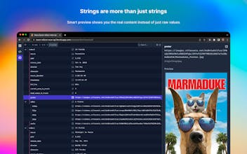JSON Hero Chrome extension gallery image