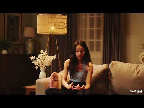 ThePetNest gallery image