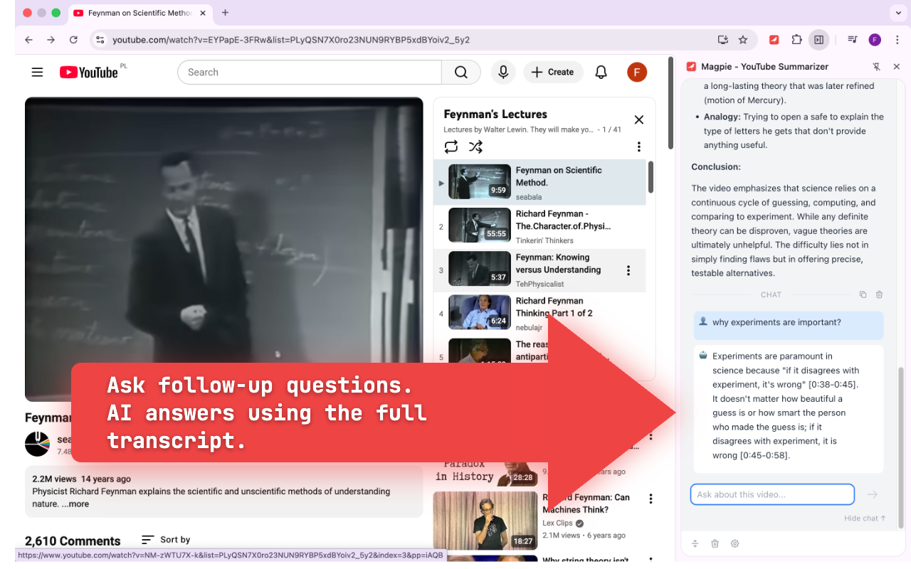 Magpie - YouTube Summarizer gallery image
