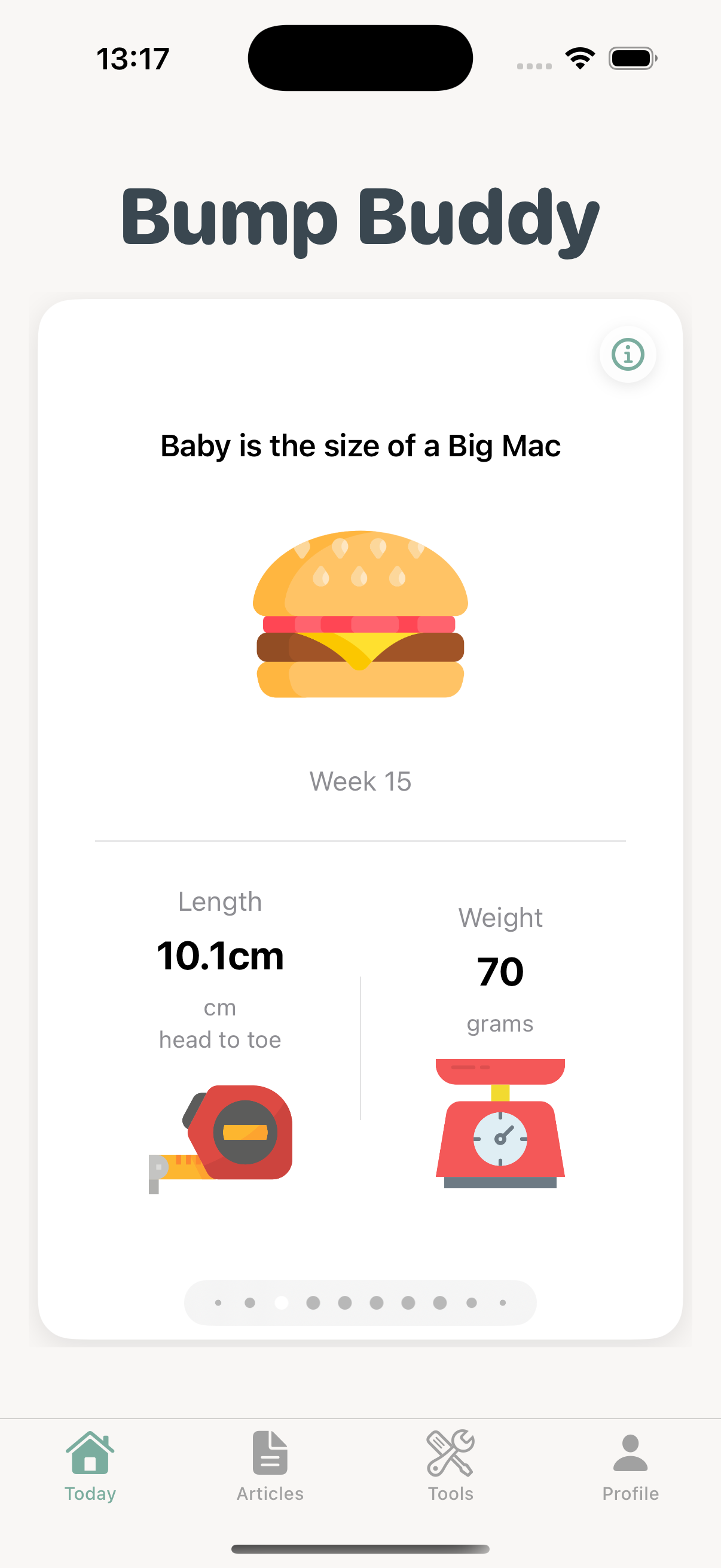 Bump Buddy - Main product screenshot demonstrating key features and user interface