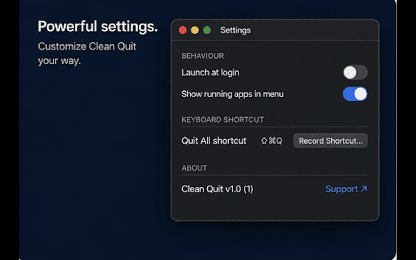 Clean Quit screenshot 4