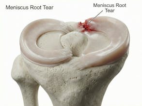 Natomy AI gallery image