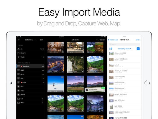 Pixave for iPad gallery image
