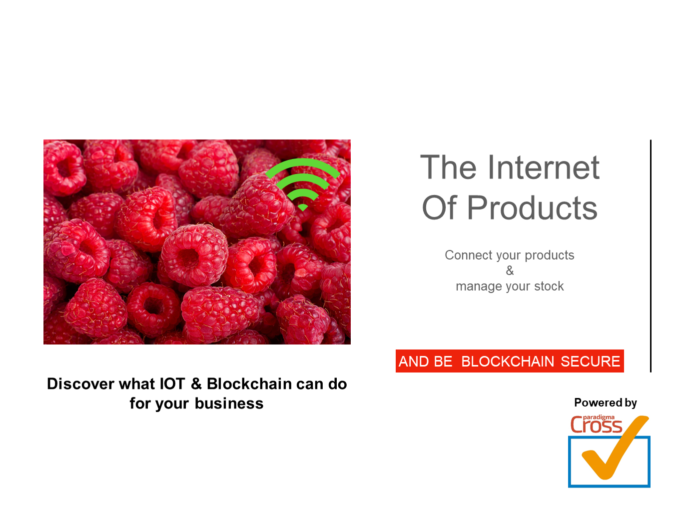 Paradigma CrossCheck gallery image