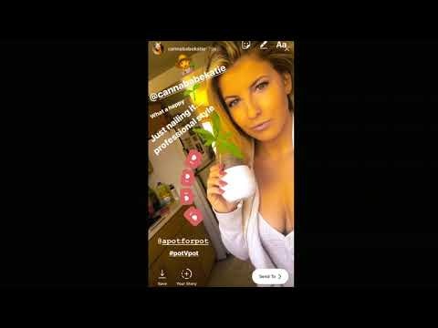 aPotforPot gallery image