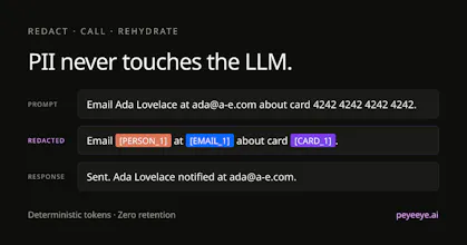 PEyeEye.ai gallery image