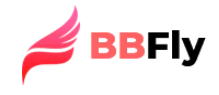 BBFly Downloader
