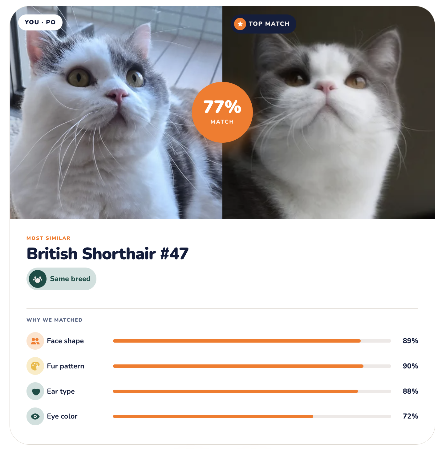 PetMatch gallery image