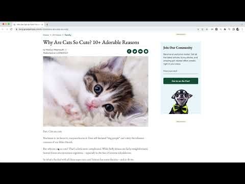 Word Counter Extension gallery image