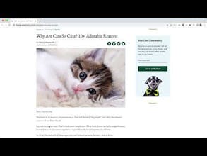 Word Counter Extension gallery image