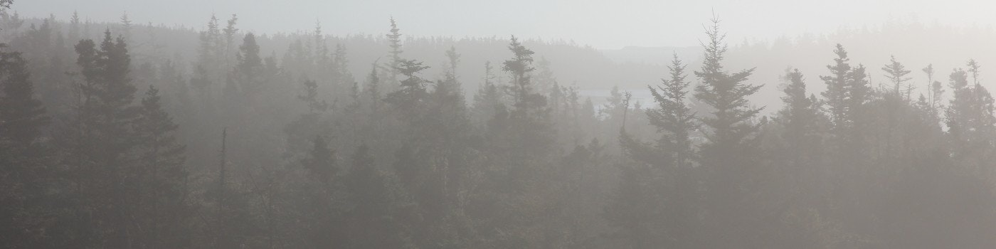 ProductHunt banner for @ads