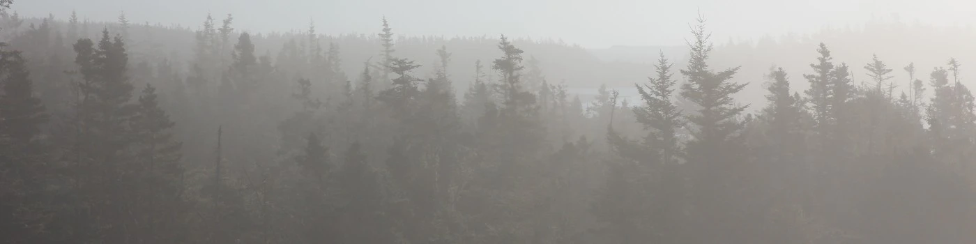 Andrew D. Schmidt cover