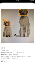 Happy Pets gallery image