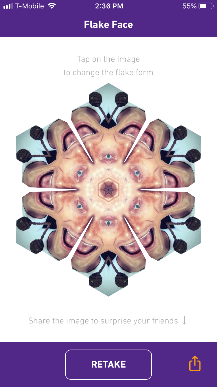 Flake Face gallery image