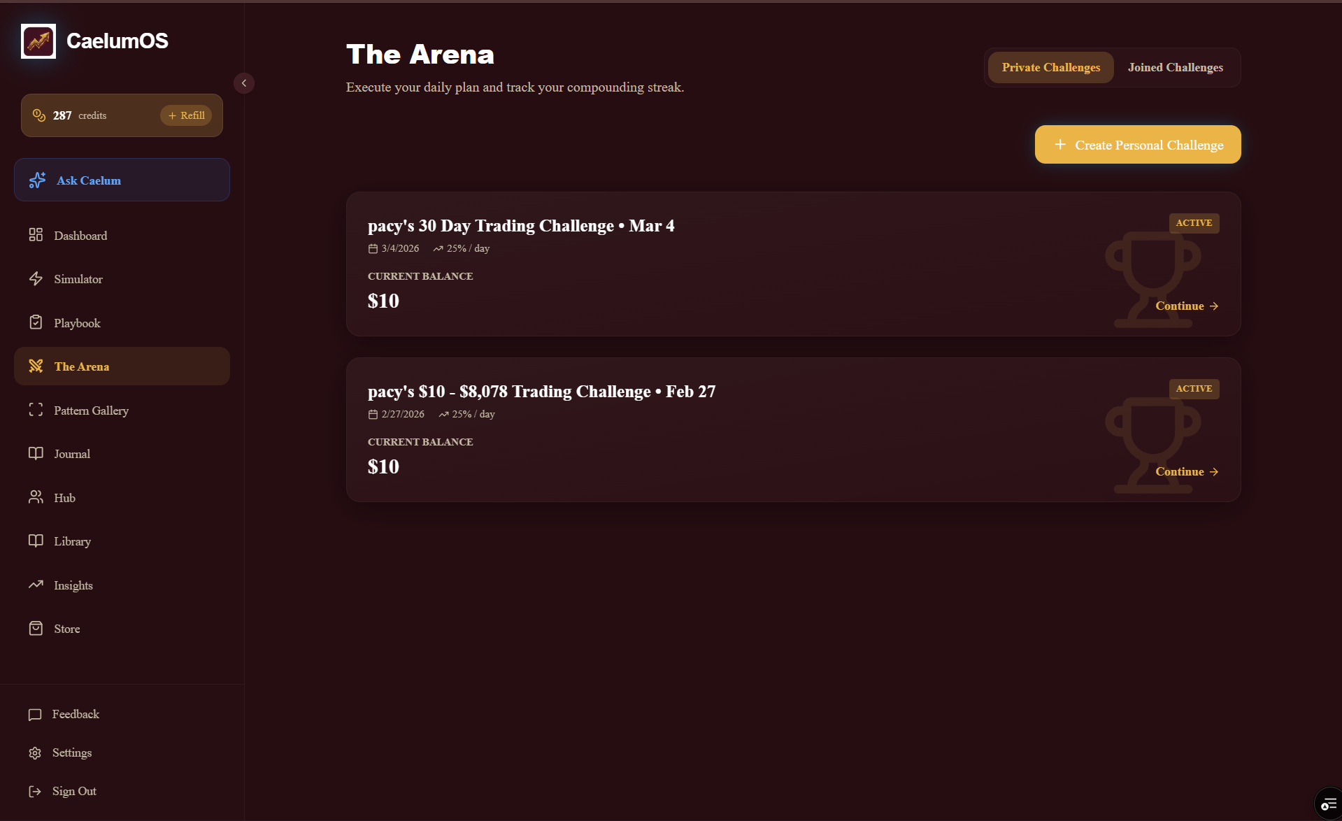 CaelumOS gallery image