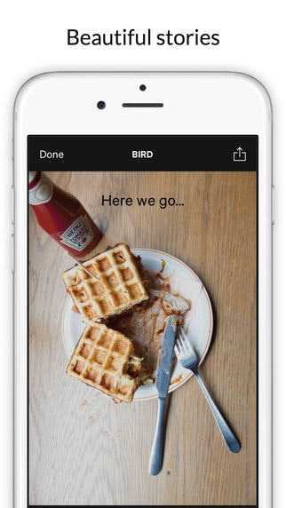 3 Kinds of Ice gallery image