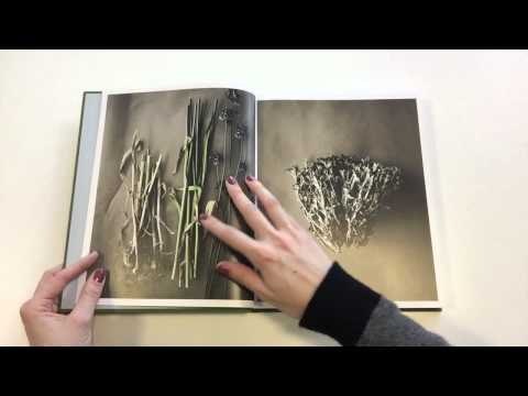 A work in progress - René Redzepi Journal gallery image