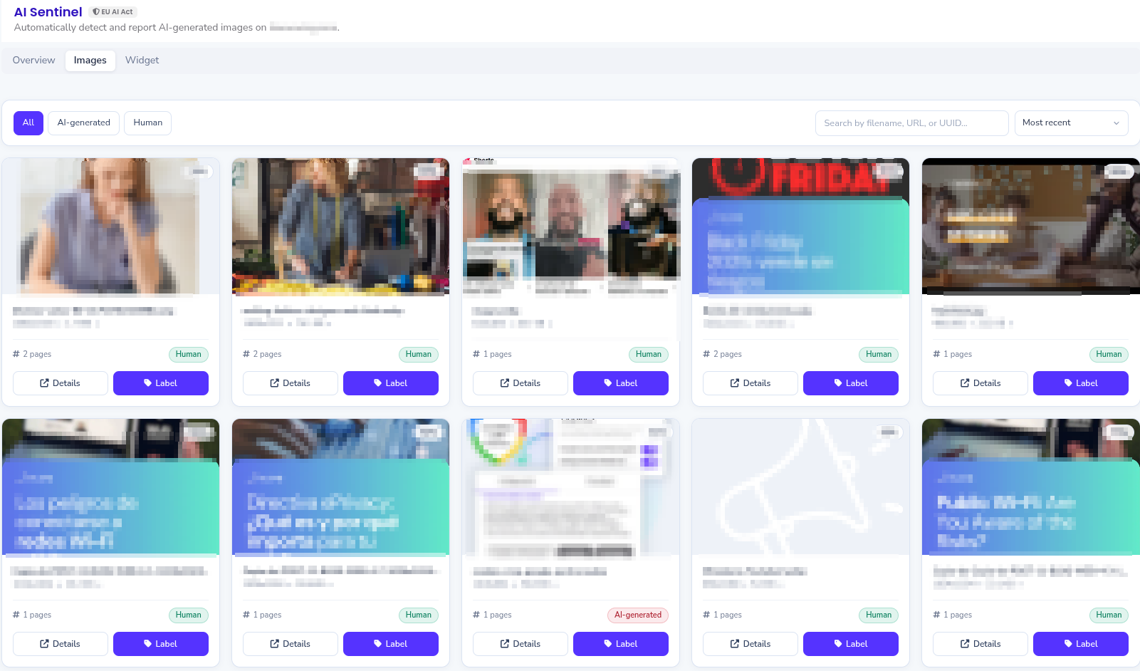 AI Sentinel · AI Act for ecommerce gallery image