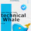 Technical Analysis of Financial Markets