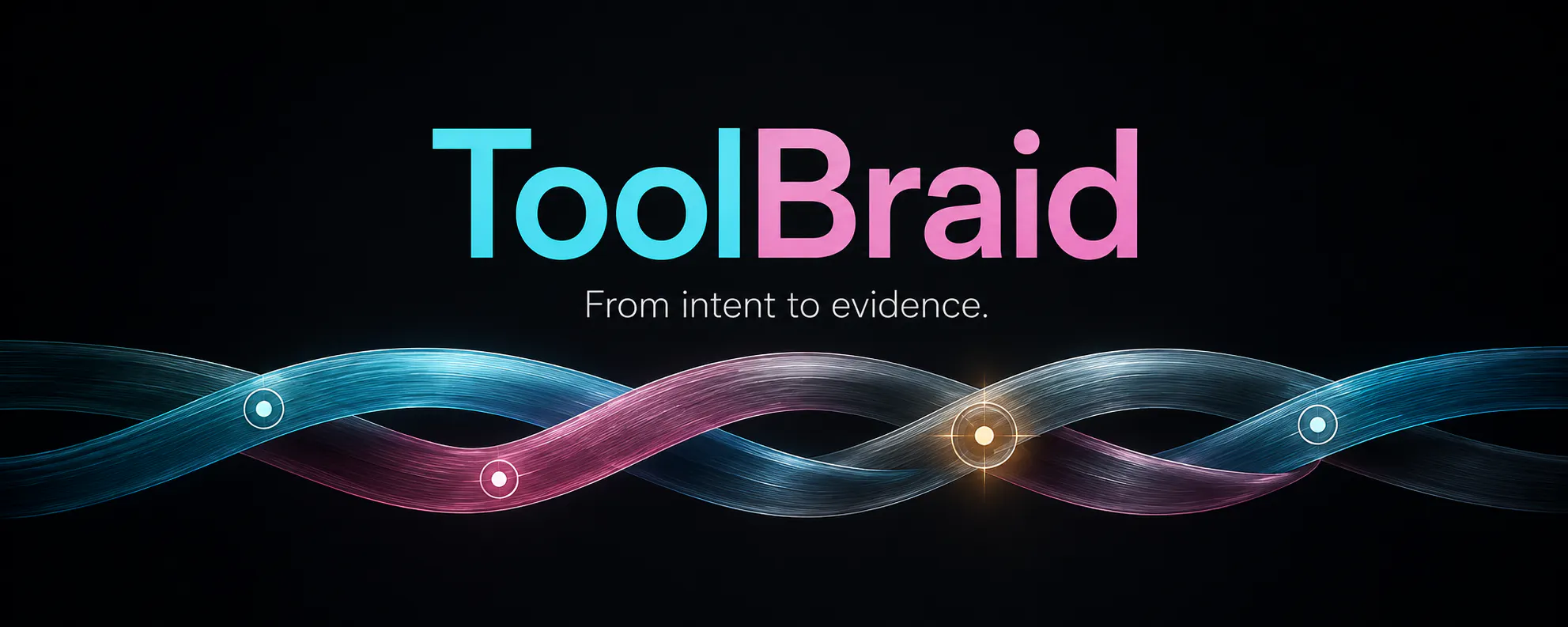 ToolBraid Companion gallery image