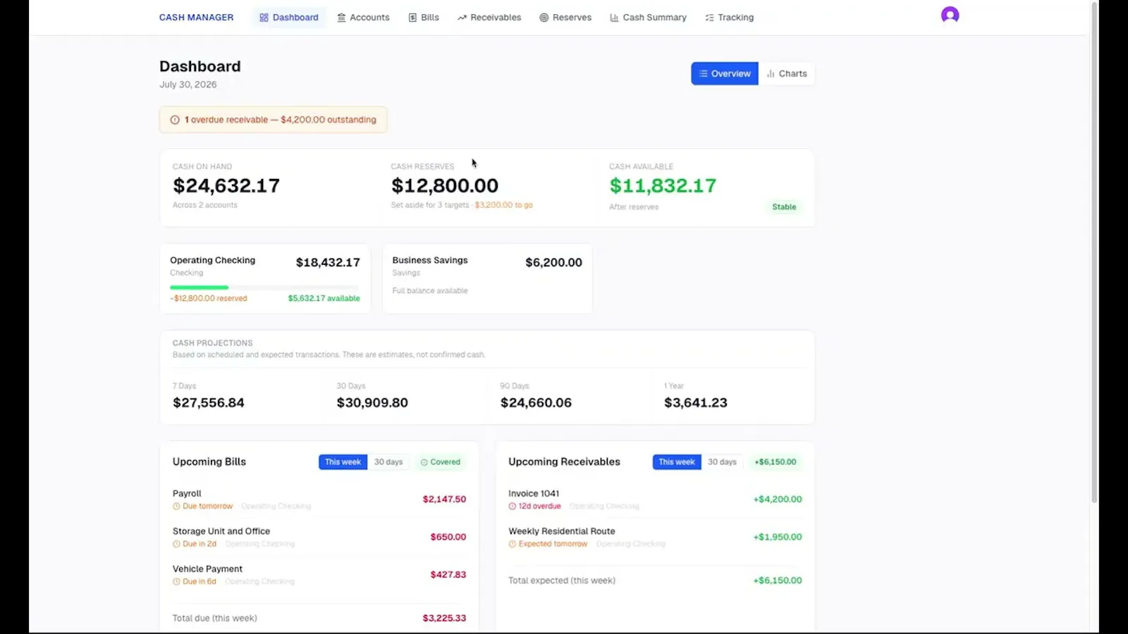 Business Cash Manager screenshot 1 (video preview)