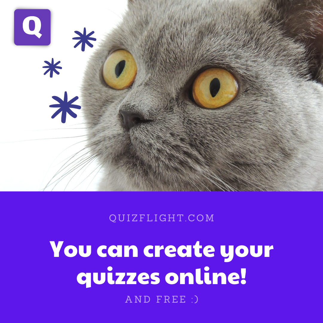 QuizFlight gallery image