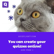 QuizFlight gallery image