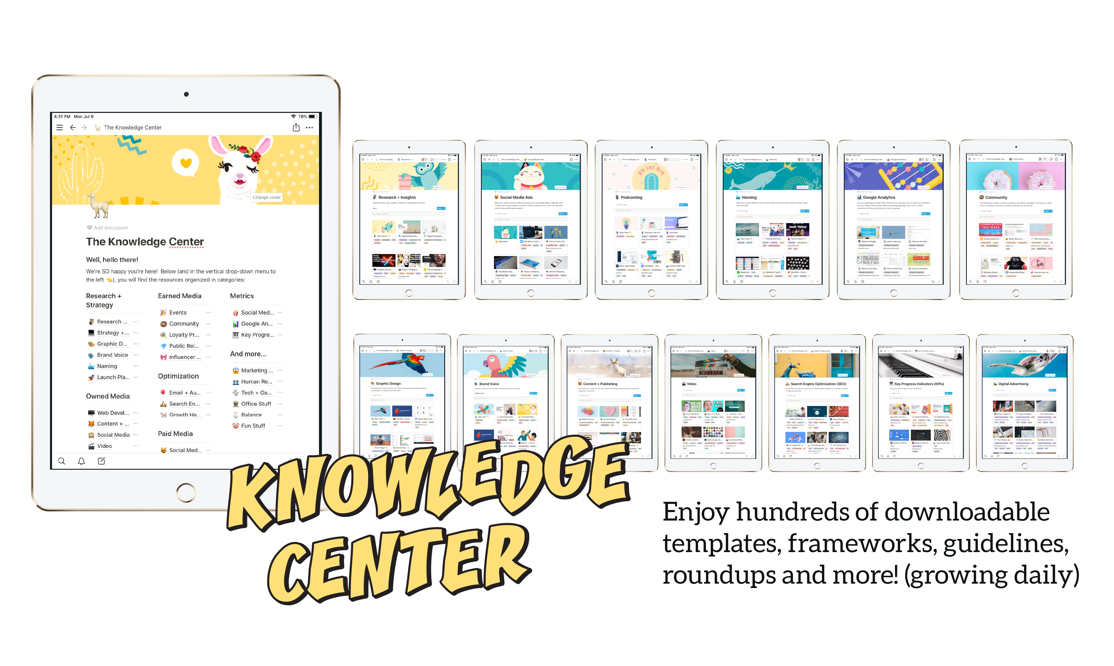 Phlywheel gallery image