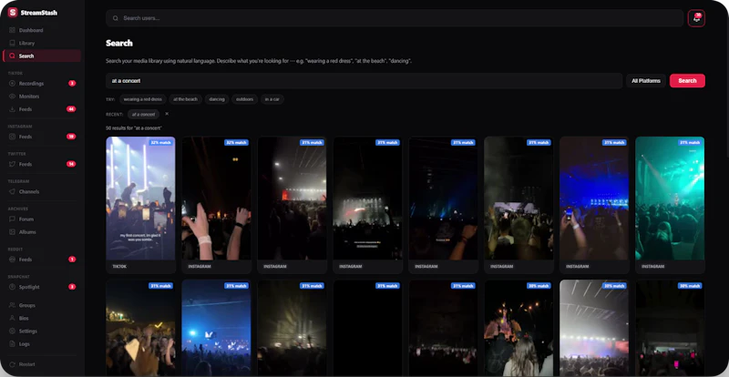 StreamStash screenshot 5