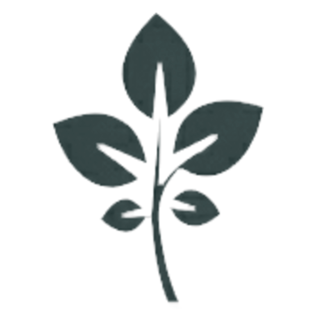 GrapeVine Social Official Launch 