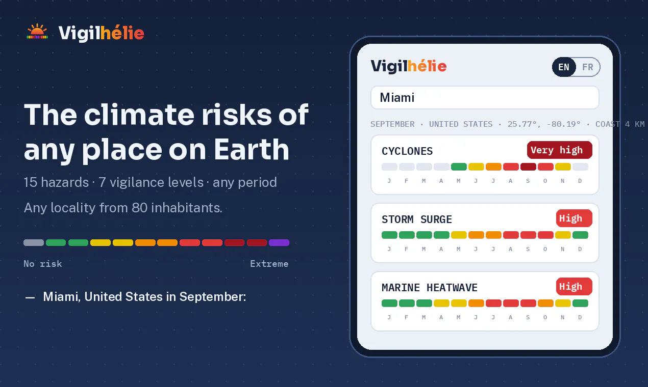 Vigilhélie gallery image