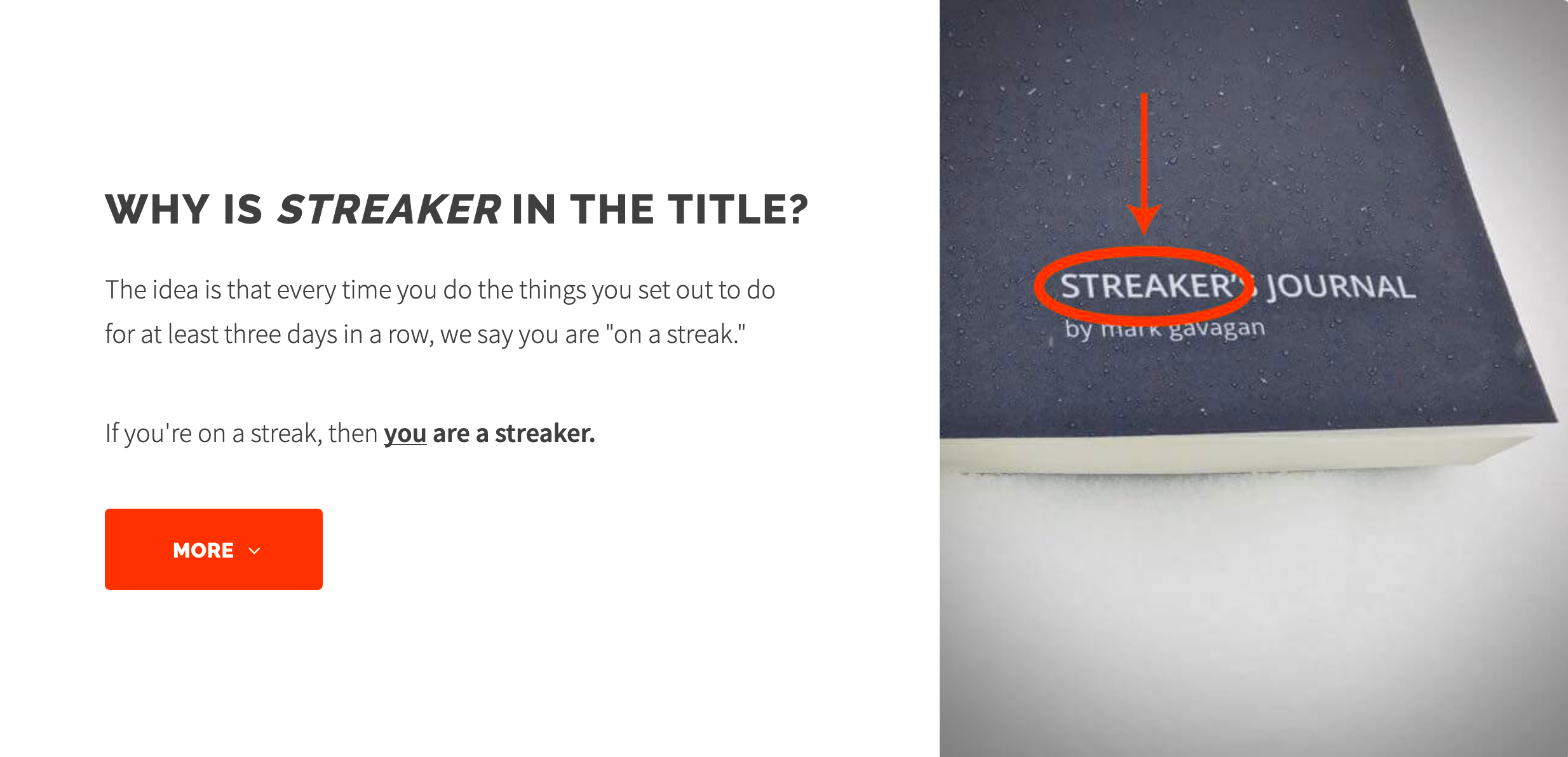 Streaker's Journal gallery image