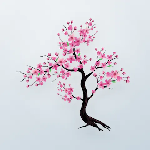 Timefully - Meditation Timer