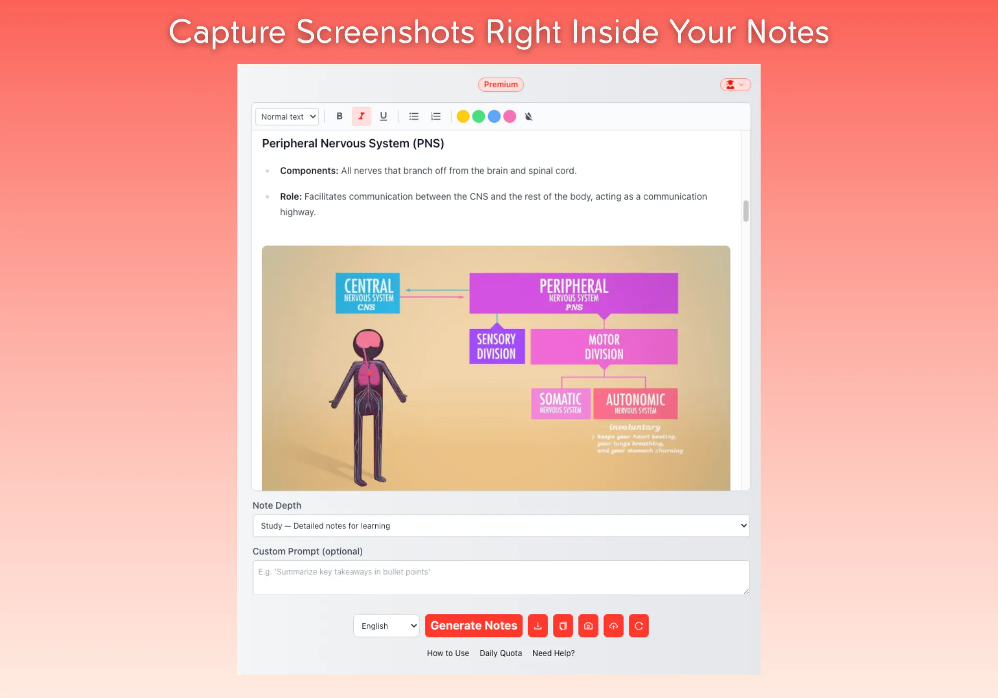 YT Notes gallery image