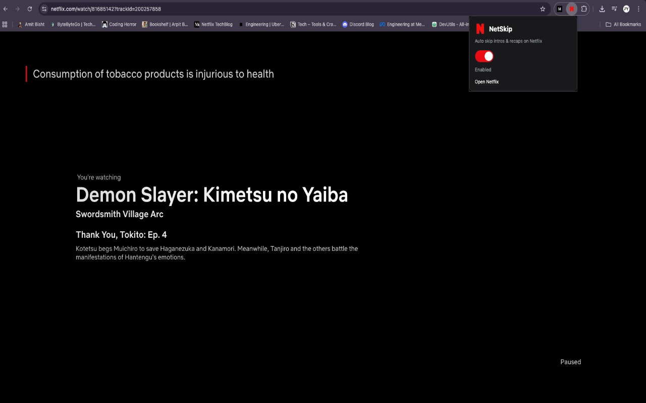 NetSkip gallery image