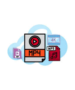 Online Video Downloader