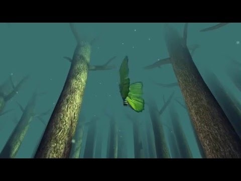 The Minims gallery image