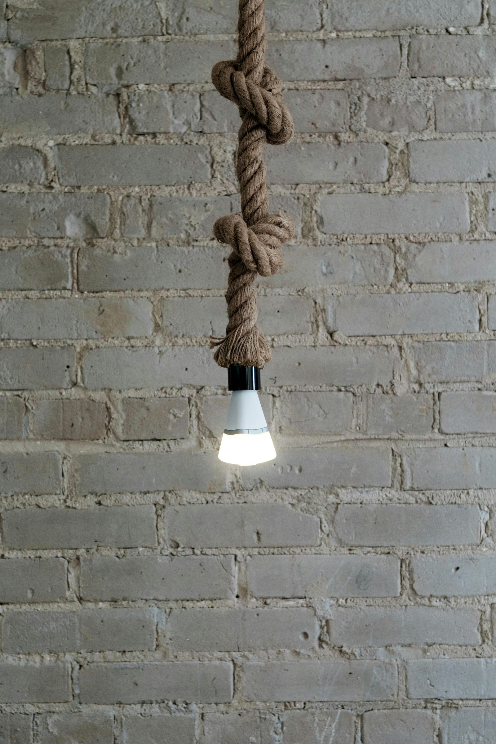 Vibrance gallery image