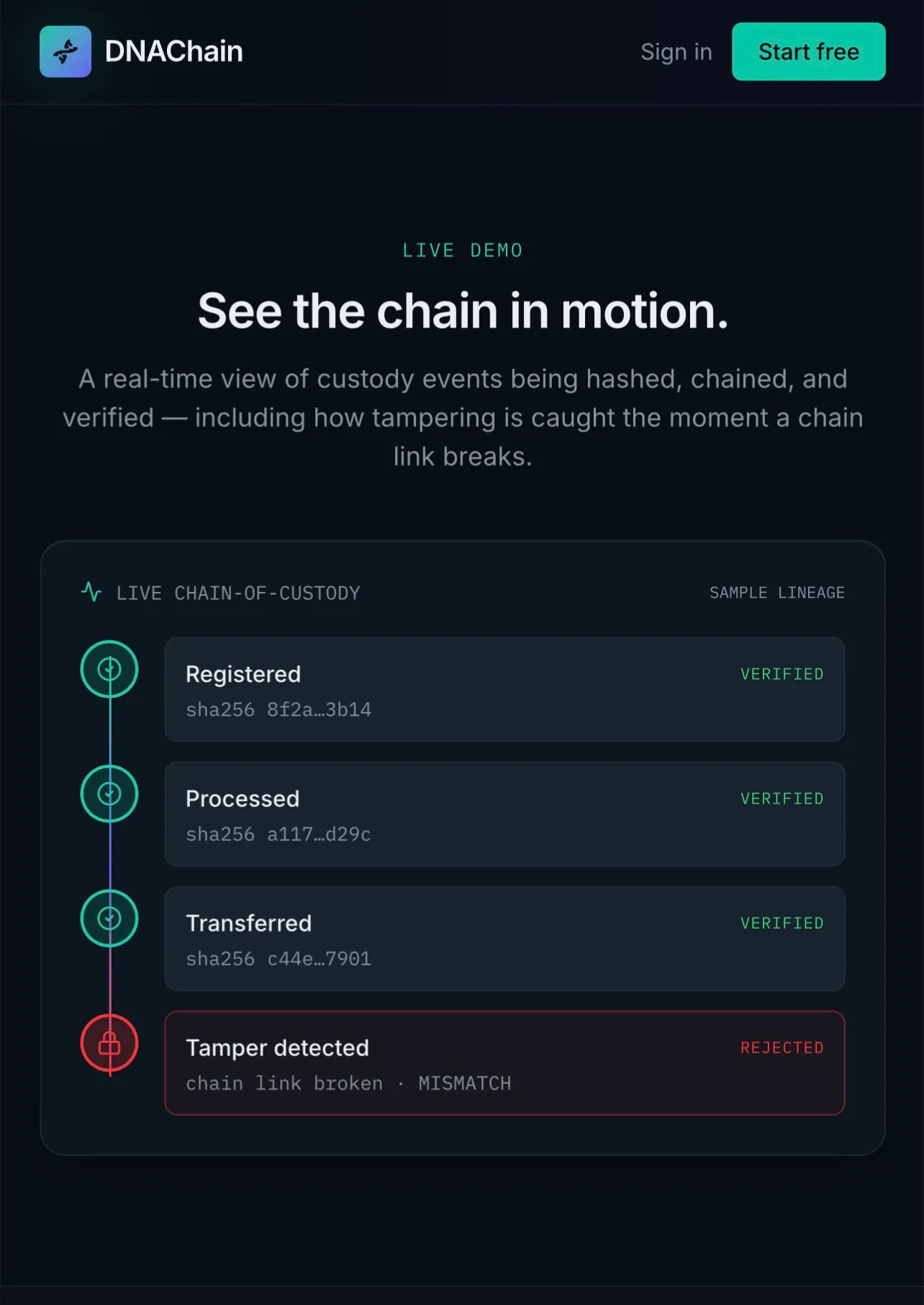 DNAChain gallery image