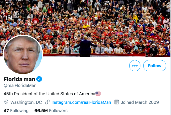 President Florida Man gallery image