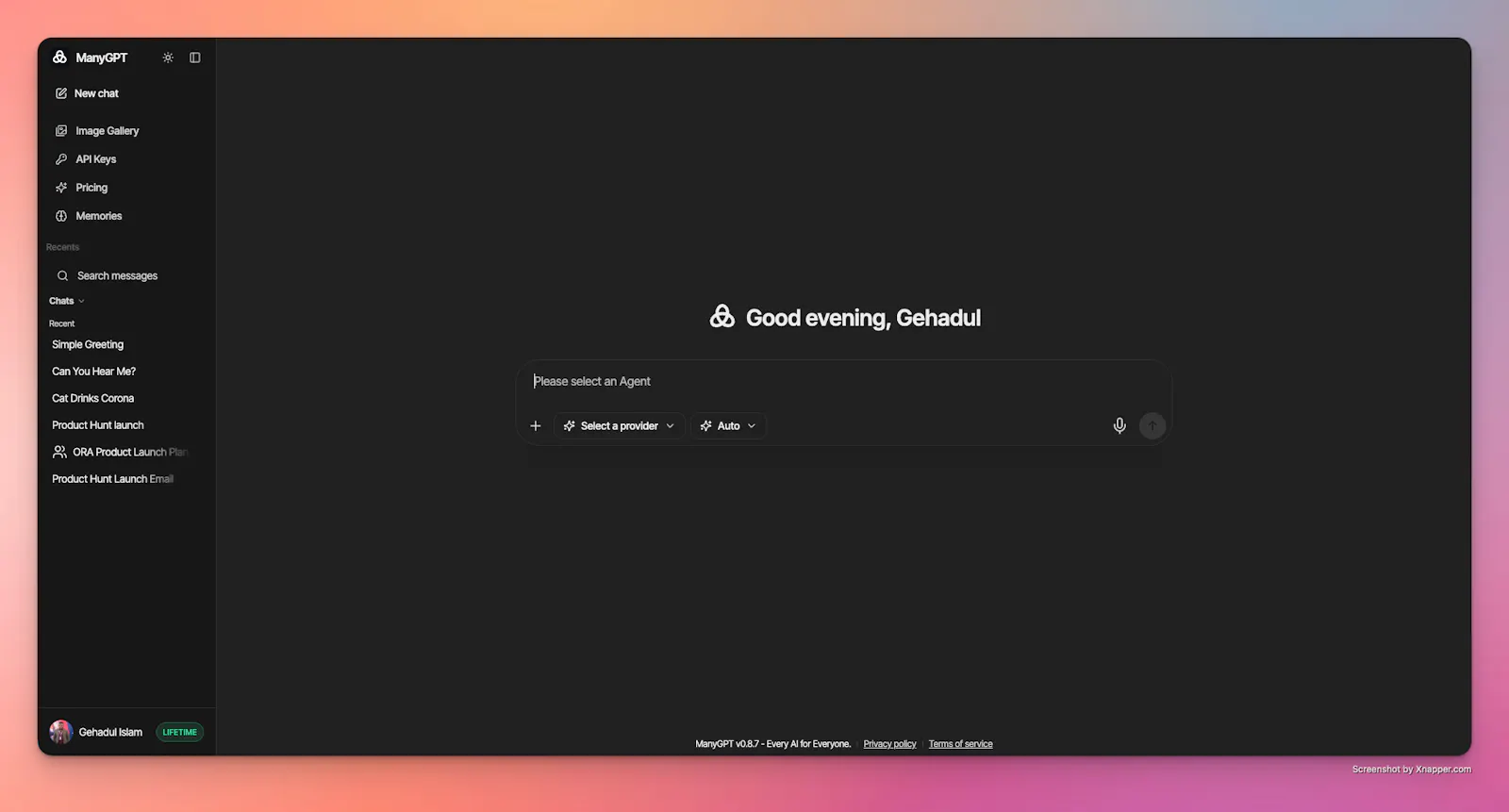 ManyGPT screenshot 3